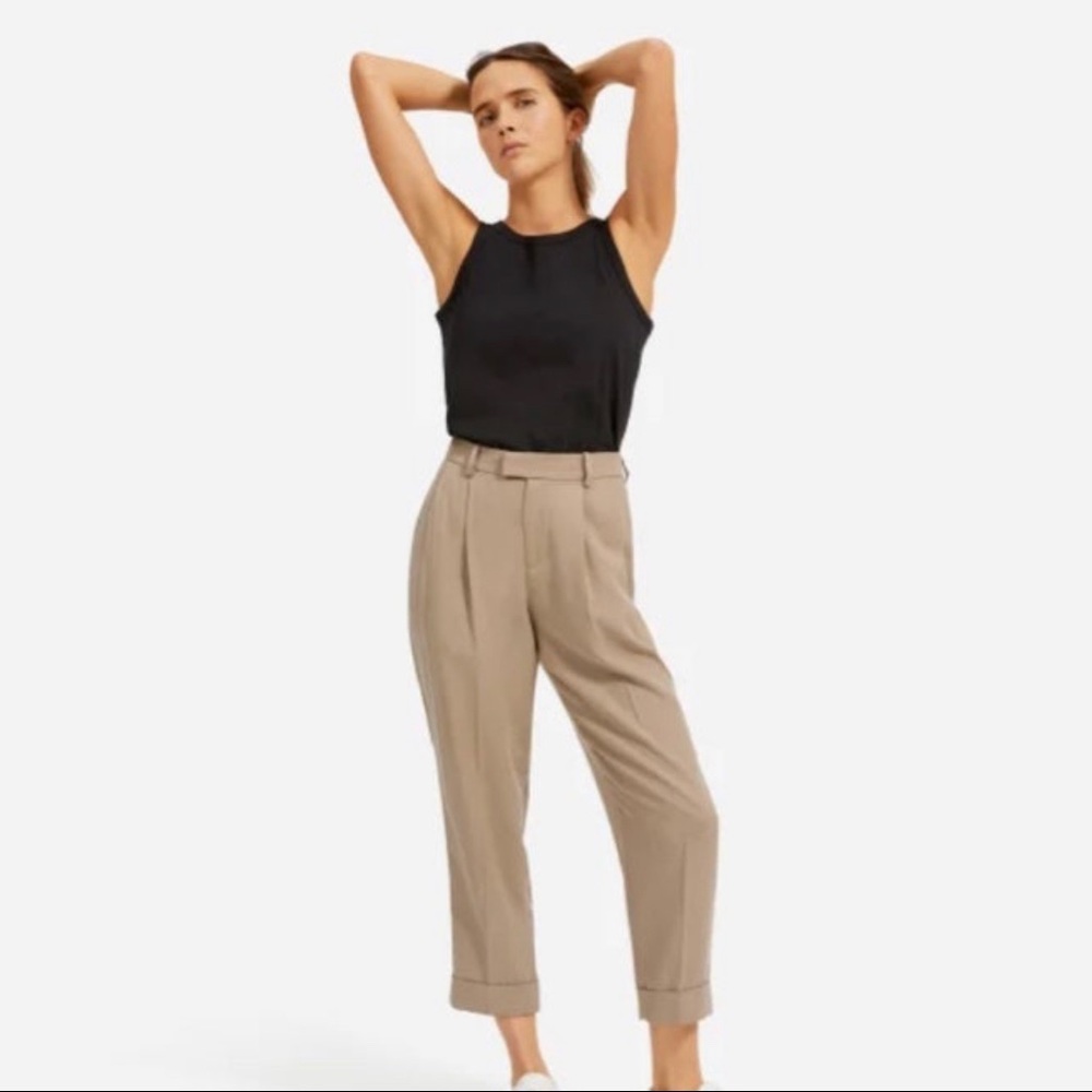 Everlane Put-Together Pleat Pant in Clay